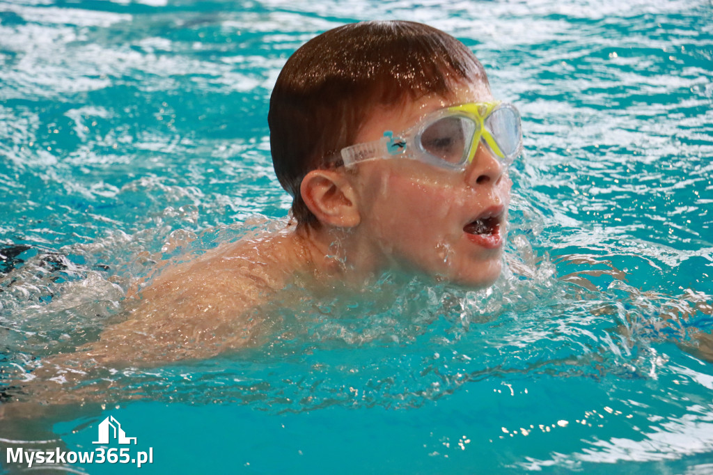 Fotorelacja I: Zawody pływackie w MOSiR Myszków