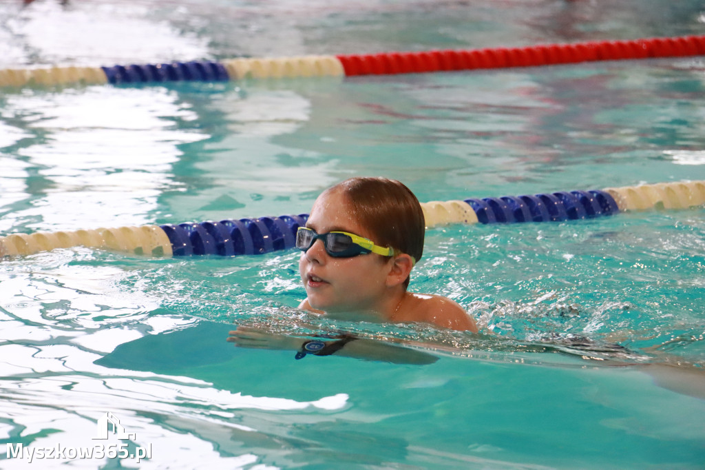 Fotorelacja I: Zawody pływackie w MOSiR Myszków
