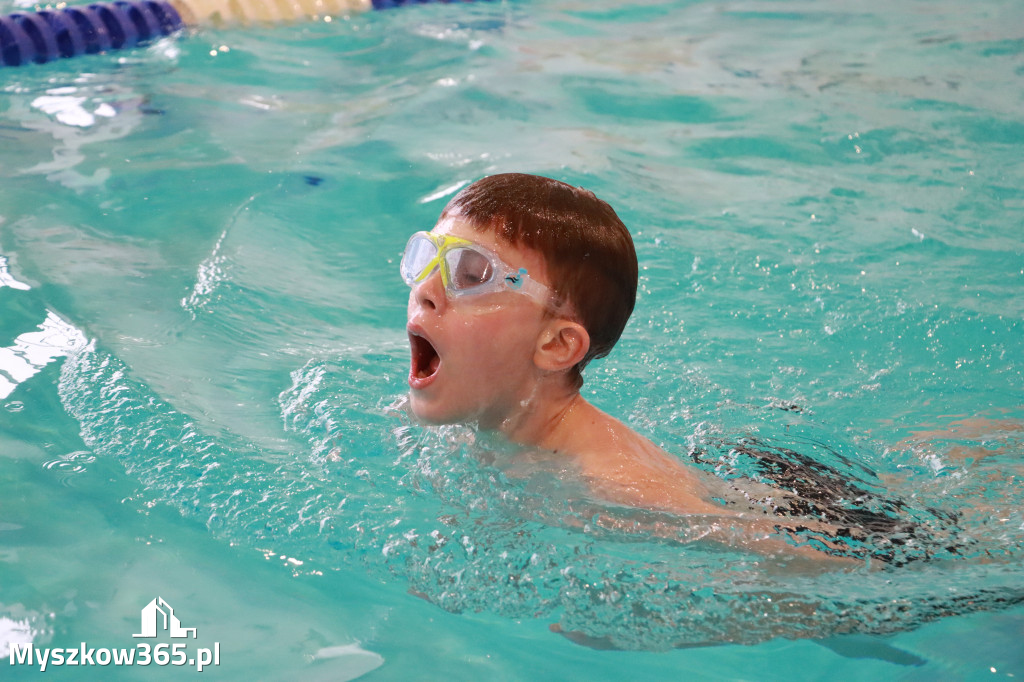 Fotorelacja I: Zawody pływackie w MOSiR Myszków