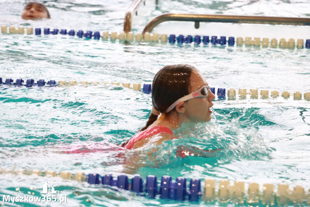 Fotorelacja I: Zawody pływackie w MOSiR Myszków