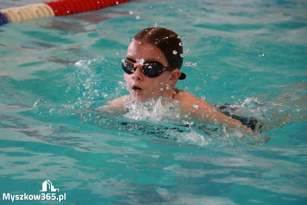 Fotorelacja I: Zawody pływackie w MOSiR Myszków