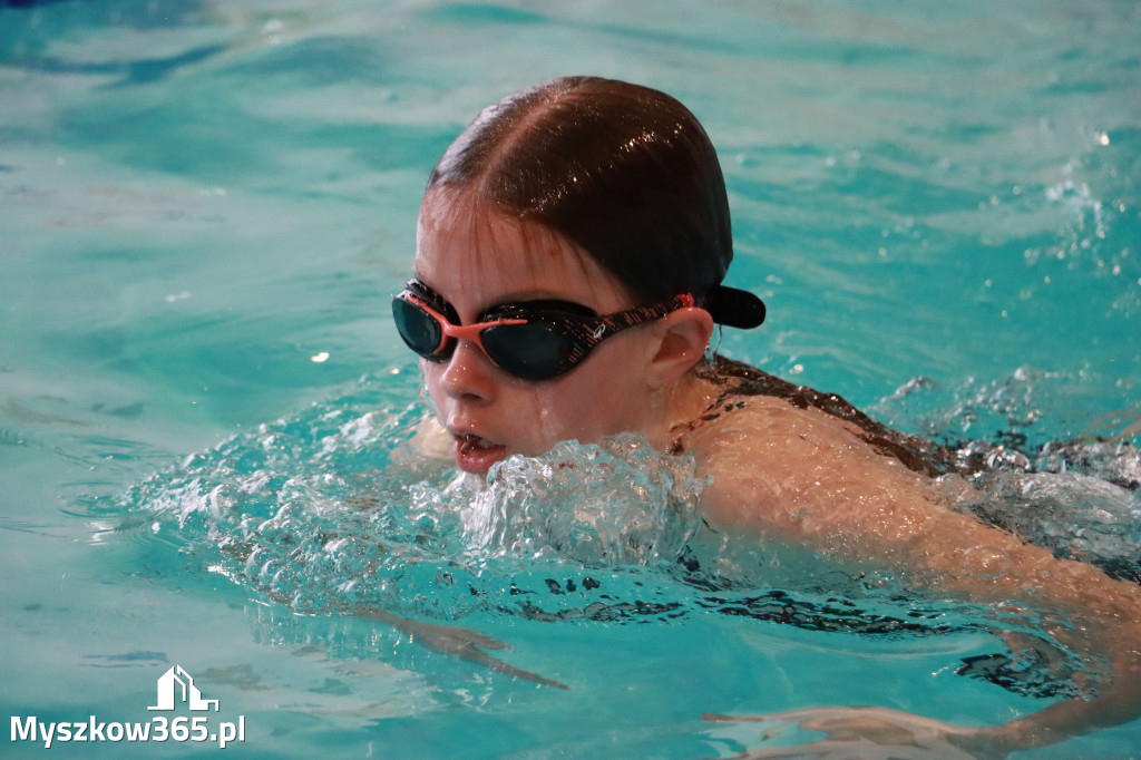Fotorelacja I: Zawody pływackie w MOSiR Myszków