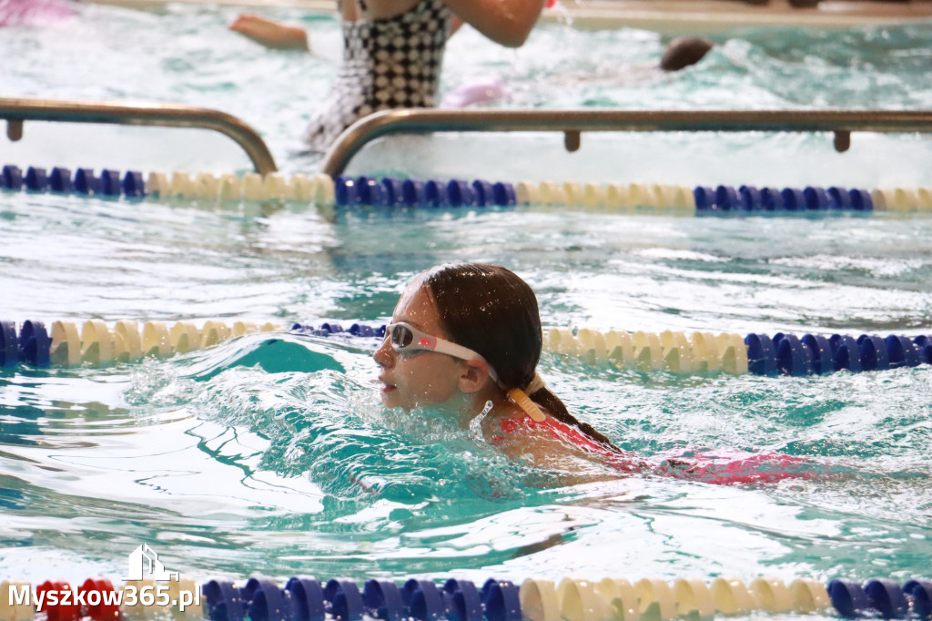 Fotorelacja I: Zawody pływackie w MOSiR Myszków