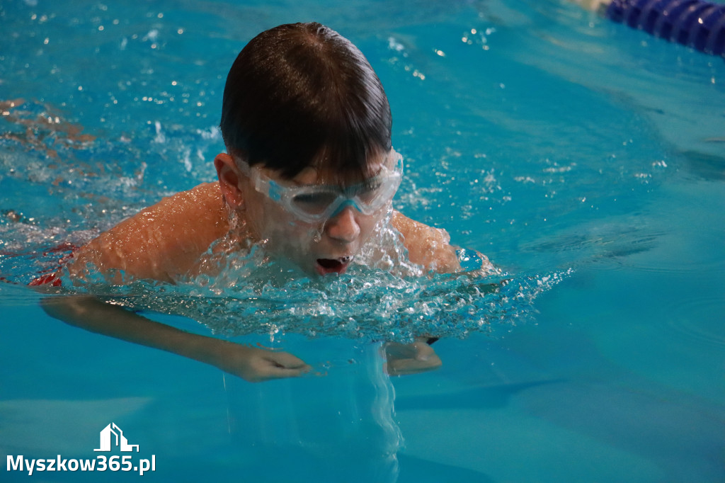 Fotorelacja I: Zawody pływackie w MOSiR Myszków