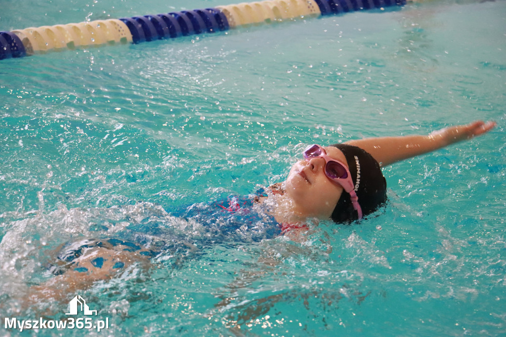 Fotorelacja I: Zawody pływackie w MOSiR Myszków