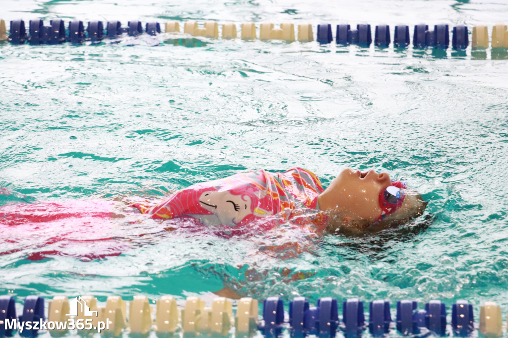 Fotorelacja I: Zawody pływackie w MOSiR Myszków