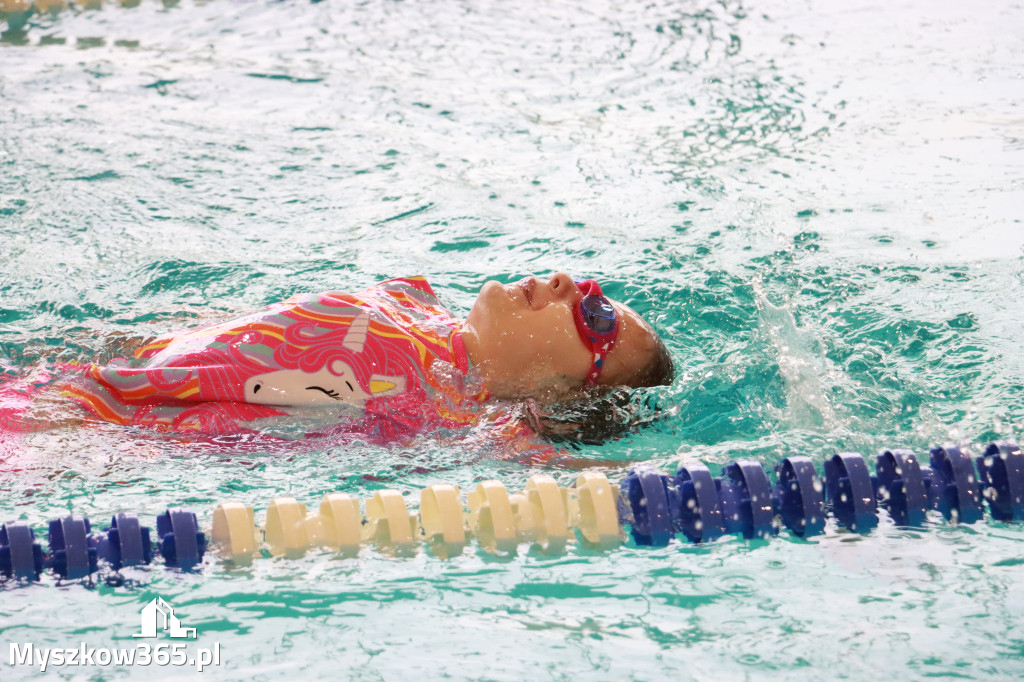Fotorelacja I: Zawody pływackie w MOSiR Myszków