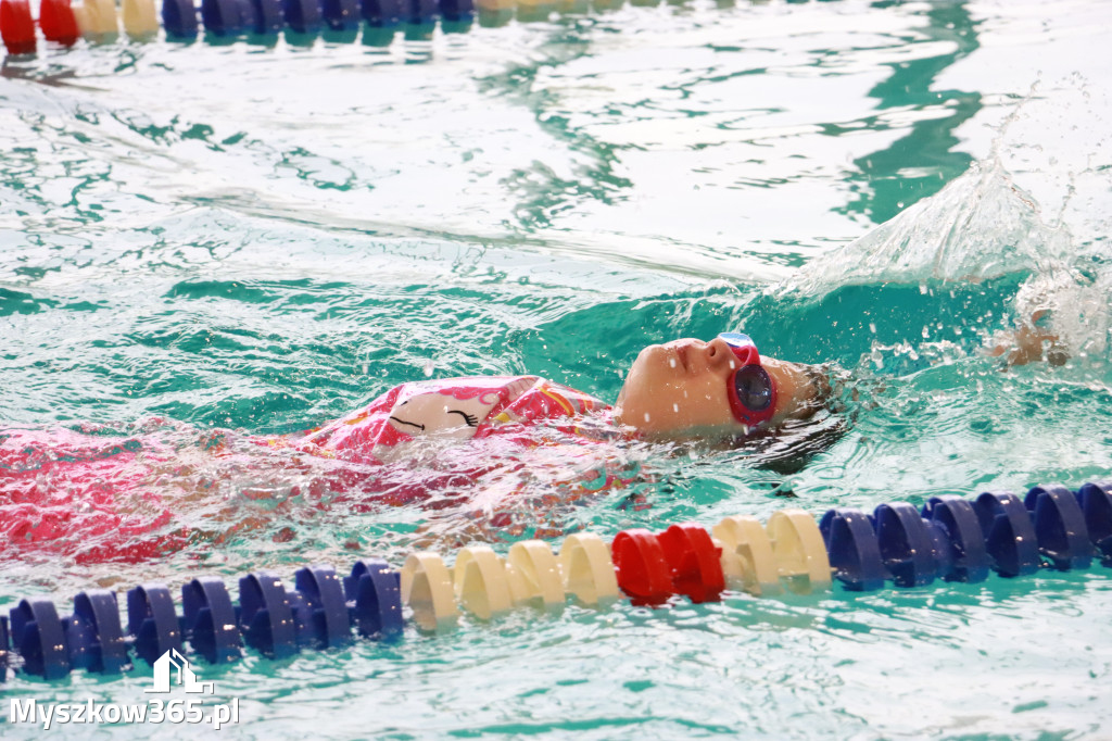 Fotorelacja I: Zawody pływackie w MOSiR Myszków