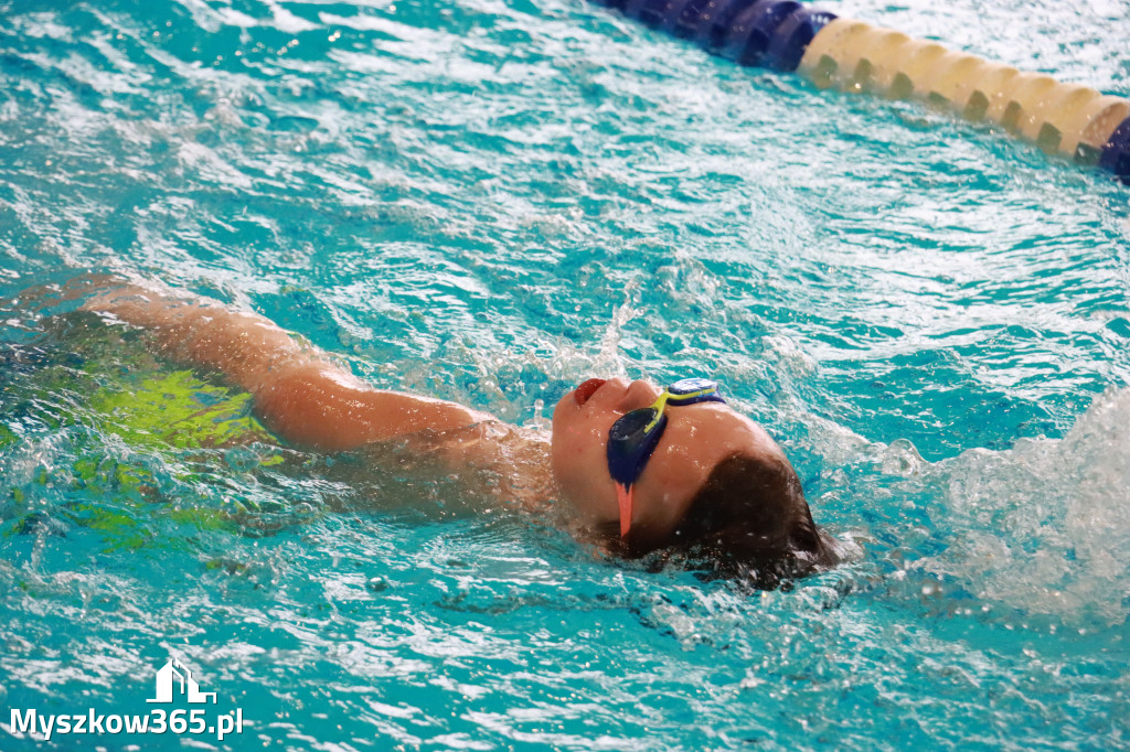 Fotorelacja I: Zawody pływackie w MOSiR Myszków