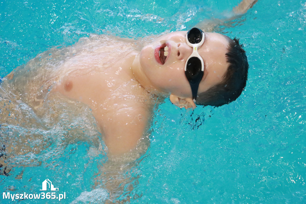 Fotorelacja II: Zawody pływackie w MOSiR Myszków
