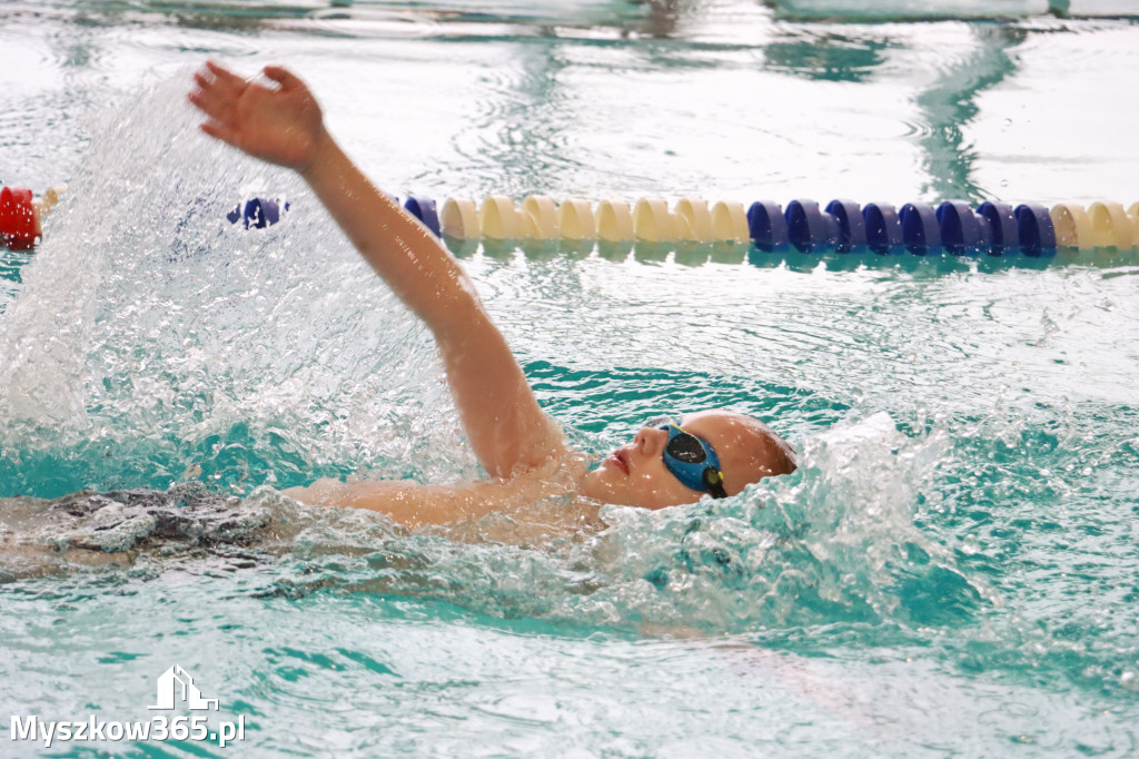 Fotorelacja II: Zawody pływackie w MOSiR Myszków