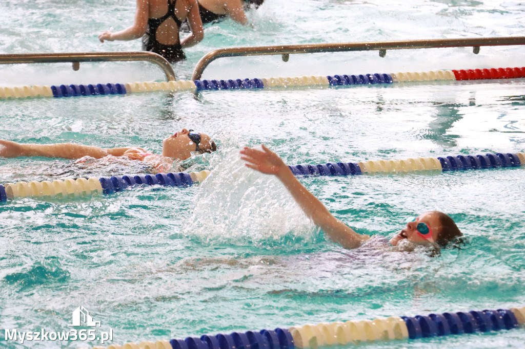 Fotorelacja II: Zawody pływackie w MOSiR Myszków