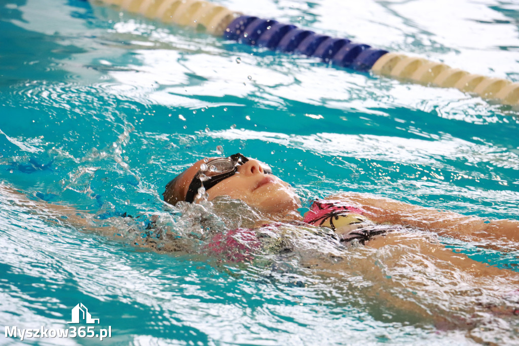 Fotorelacja II: Zawody pływackie w MOSiR Myszków