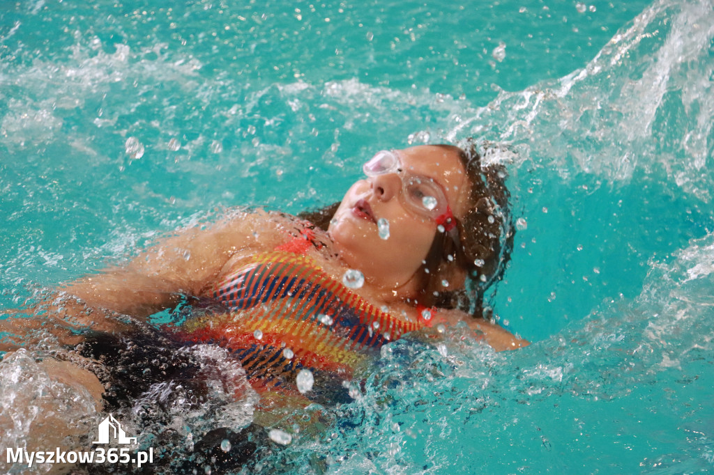 Fotorelacja II: Zawody pływackie w MOSiR Myszków
