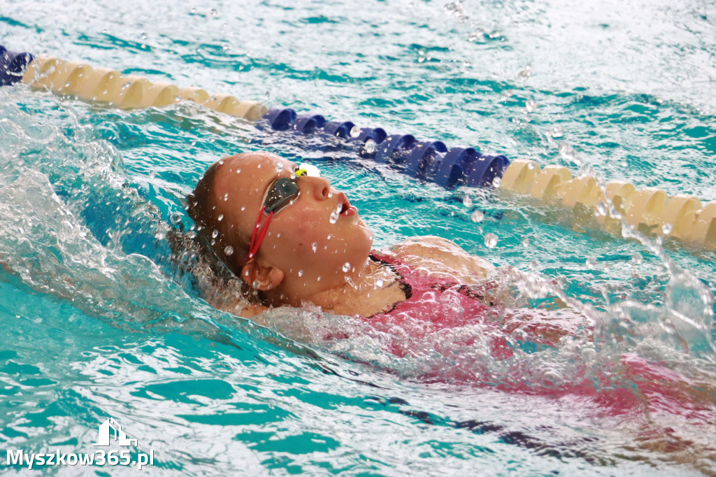 Fotorelacja II: Zawody pływackie w MOSiR Myszków