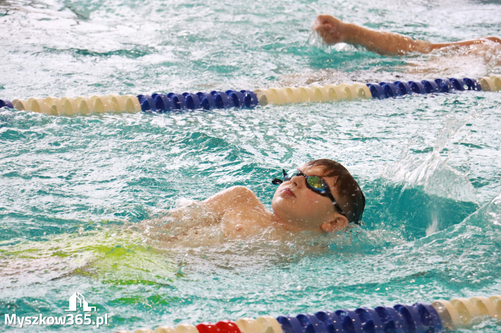 Fotorelacja II: Zawody pływackie w MOSiR Myszków