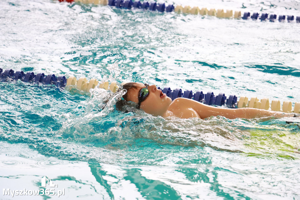 Fotorelacja II: Zawody pływackie w MOSiR Myszków