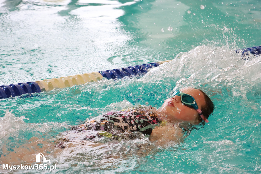 Fotorelacja II: Zawody pływackie w MOSiR Myszków