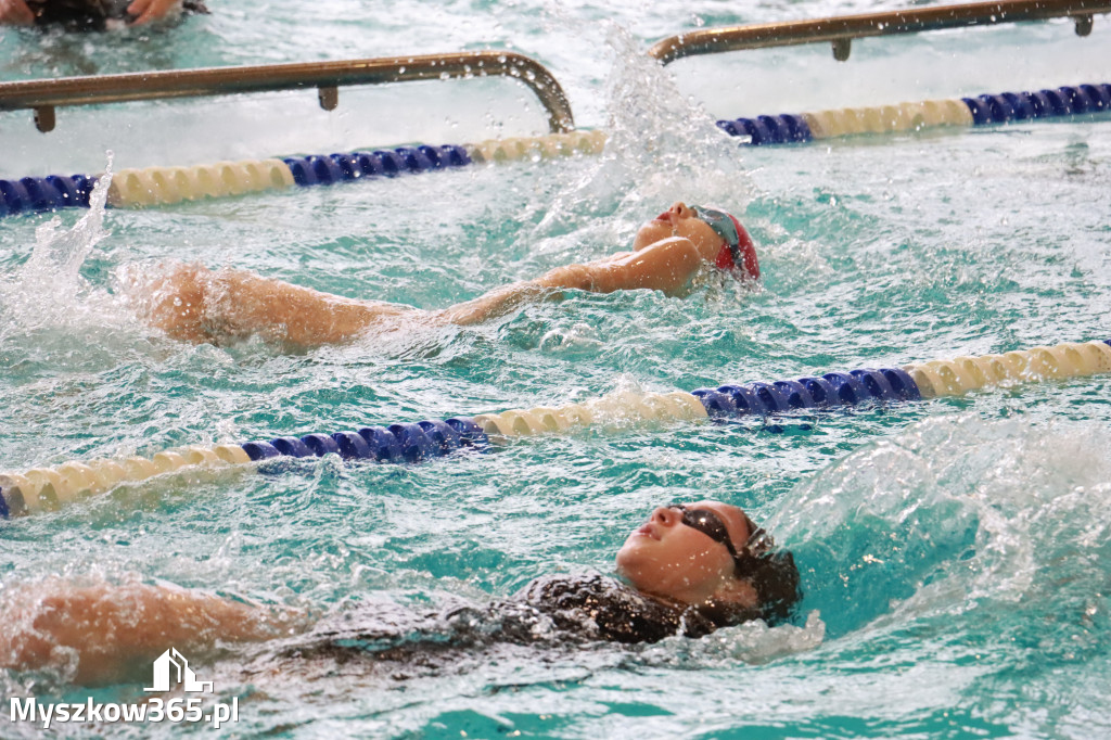 Fotorelacja II: Zawody pływackie w MOSiR Myszków