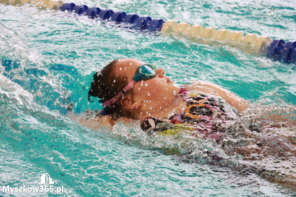 Fotorelacja II: Zawody pływackie w MOSiR Myszków
