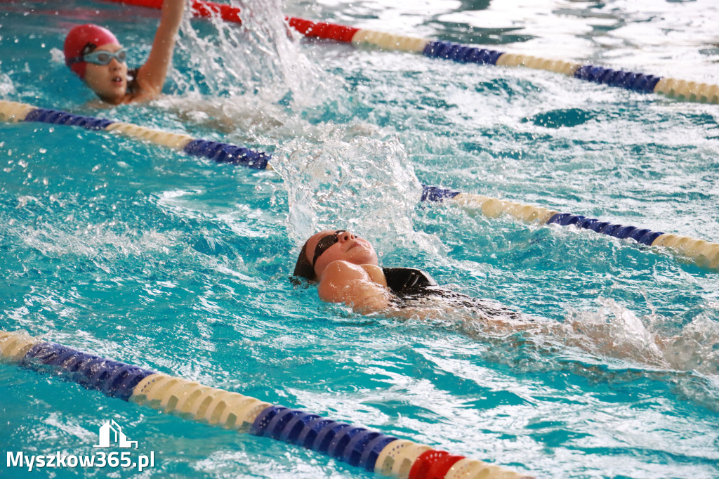 Fotorelacja II: Zawody pływackie w MOSiR Myszków