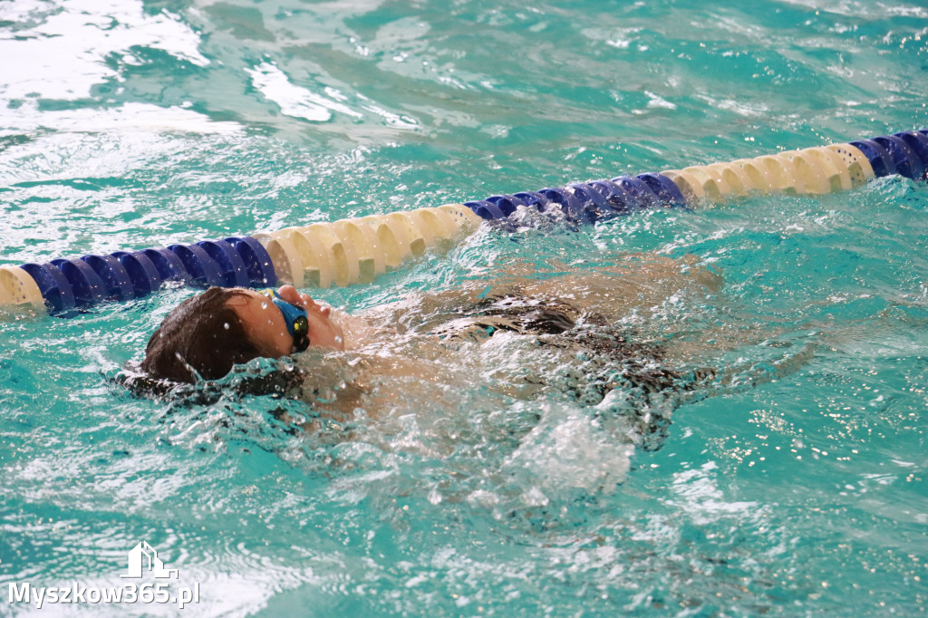 Fotorelacja II: Zawody pływackie w MOSiR Myszków