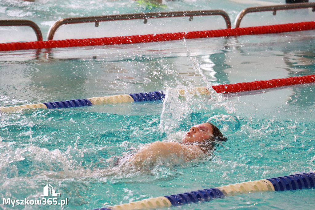 Fotorelacja II: Zawody pływackie w MOSiR Myszków