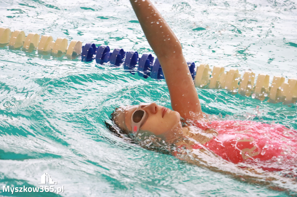Fotorelacja II: Zawody pływackie w MOSiR Myszków