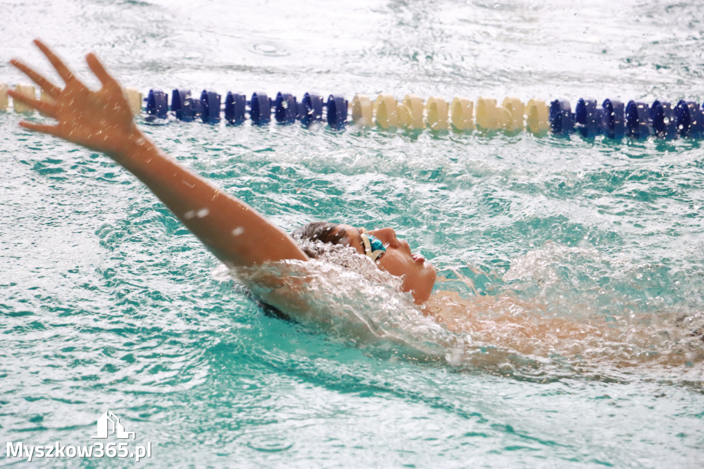 Fotorelacja II: Zawody pływackie w MOSiR Myszków