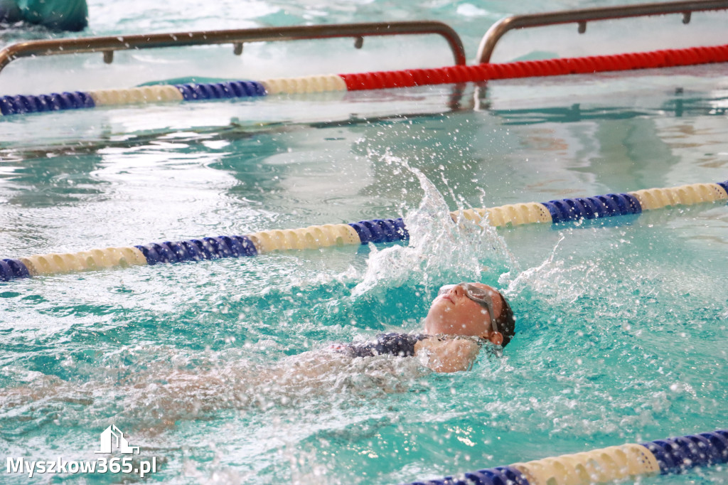 Fotorelacja II: Zawody pływackie w MOSiR Myszków