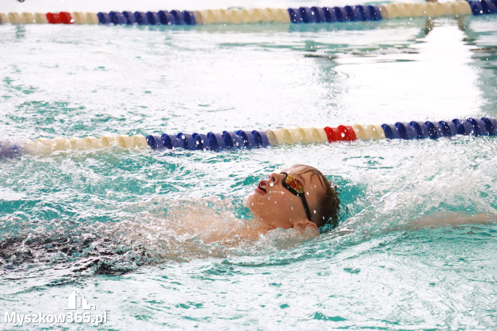 Fotorelacja II: Zawody pływackie w MOSiR Myszków
