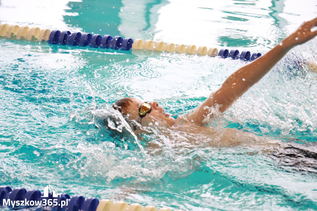 Fotorelacja II: Zawody pływackie w MOSiR Myszków