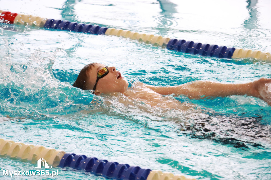 Fotorelacja II: Zawody pływackie w MOSiR Myszków