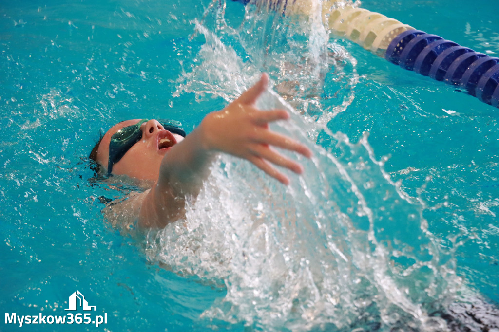 Fotorelacja II: Zawody pływackie w MOSiR Myszków