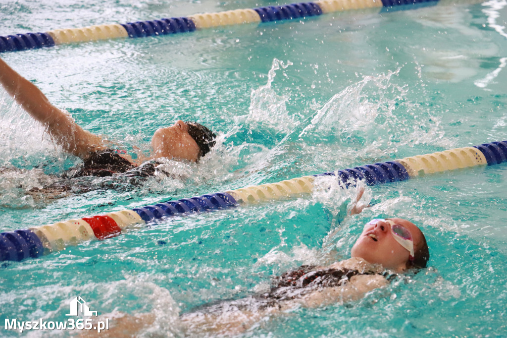 Fotorelacja II: Zawody pływackie w MOSiR Myszków