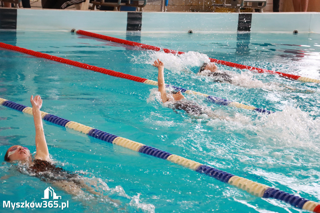 Fotorelacja II: Zawody pływackie w MOSiR Myszków