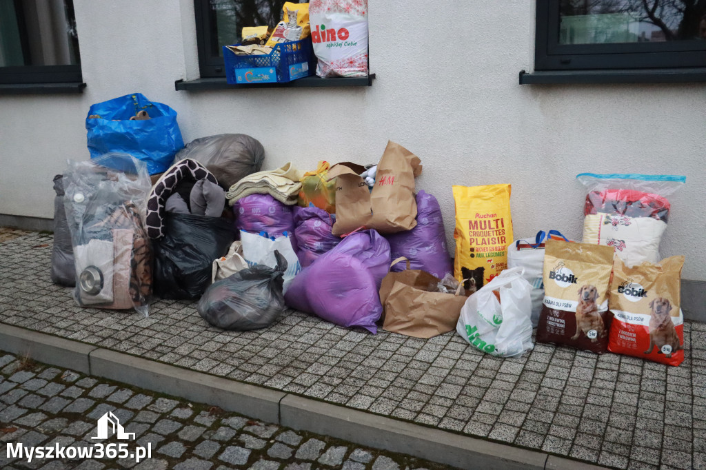 Fotorelacja: Finał akcji „Świąteczna Paka dla Zwierzaka” w Myszkowie
