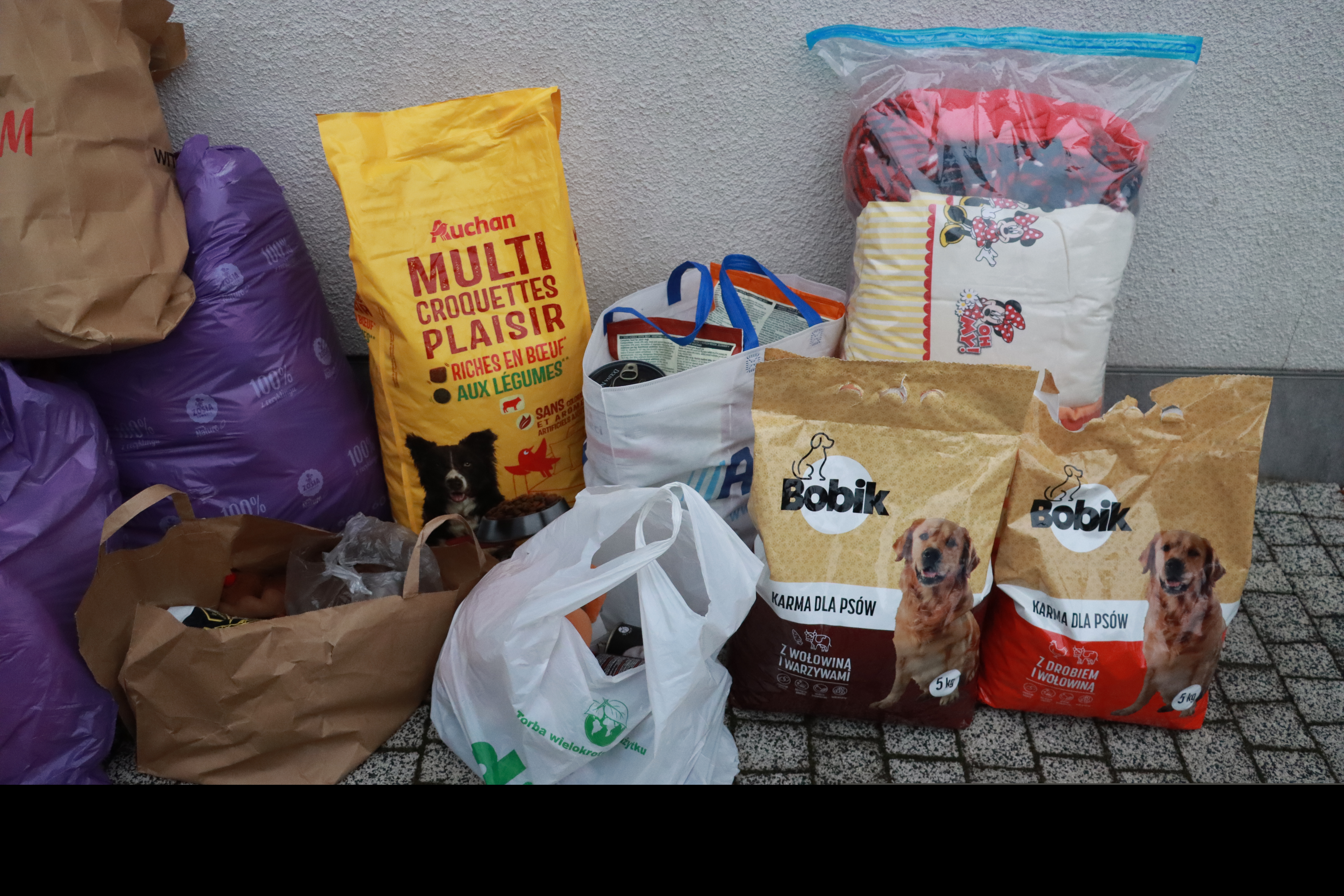 Fotorelacja: Finał akcji „Świąteczna Paka dla Zwierzaka” w Myszkowie