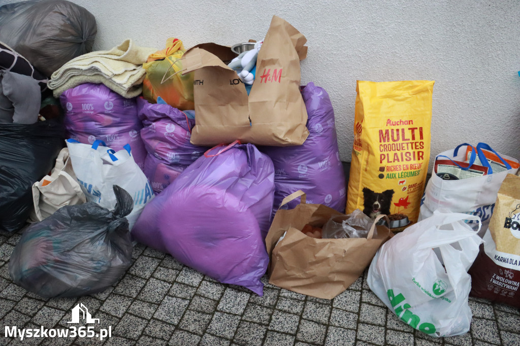 Fotorelacja: Finał akcji „Świąteczna Paka dla Zwierzaka” w Myszkowie