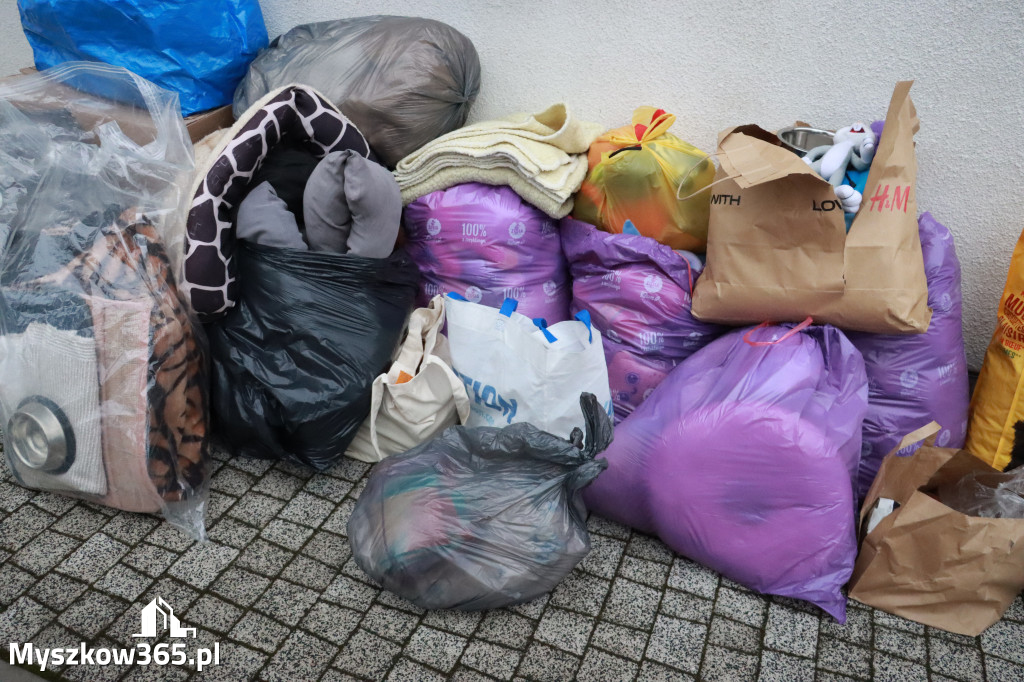 Fotorelacja: Finał akcji „Świąteczna Paka dla Zwierzaka” w Myszkowie