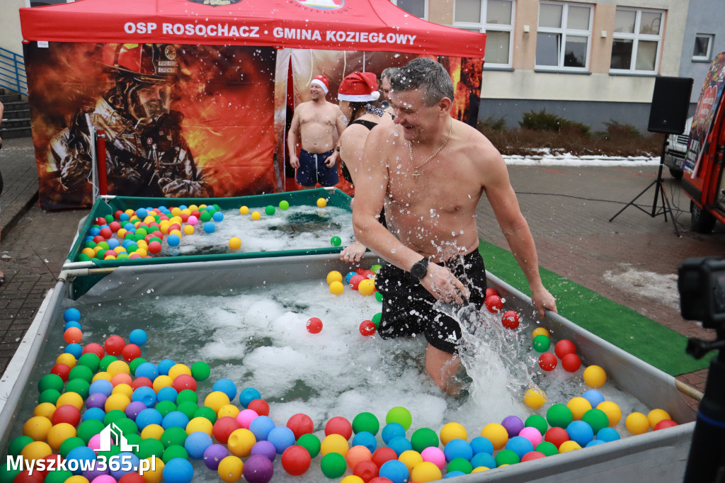  Fotorelacja: WOŚP w Koziegłowach!