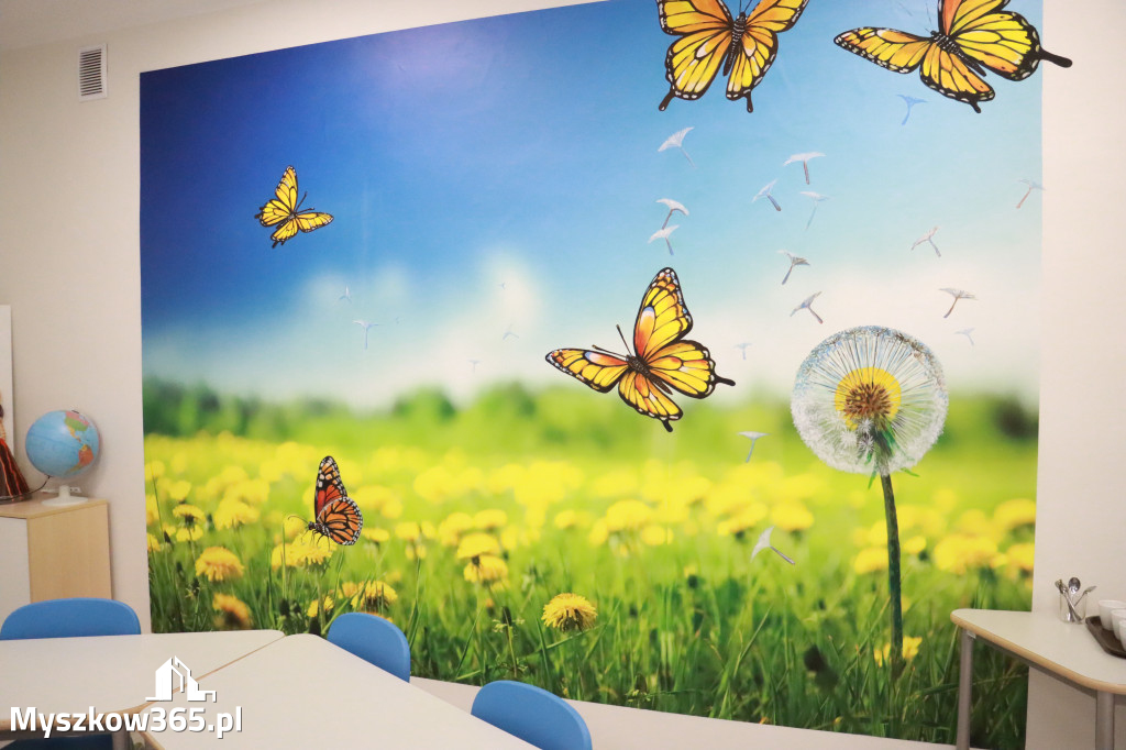 Fotorelacja: ZAKĄTEK NATURY w Szkole Podstawowej w Poraju