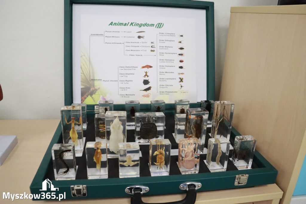 Fotorelacja: ZAKĄTEK NATURY w Szkole Podstawowej w Poraju