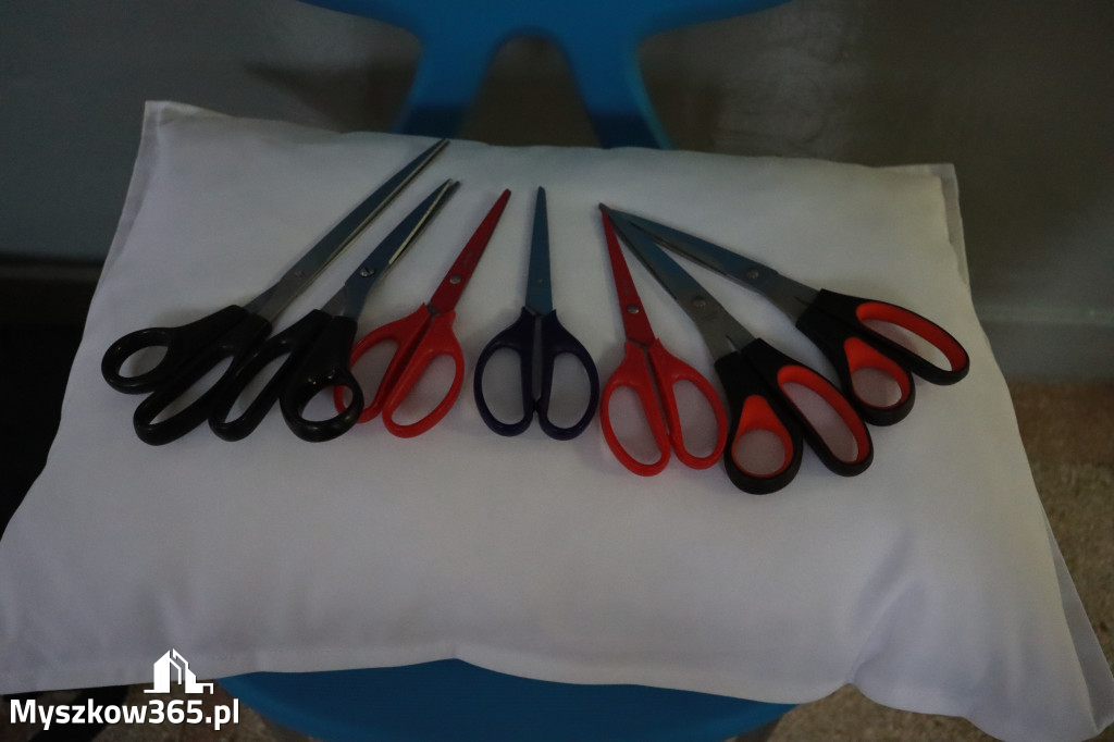 Fotorelacja: ZAKĄTEK NATURY w Szkole Podstawowej w Poraju