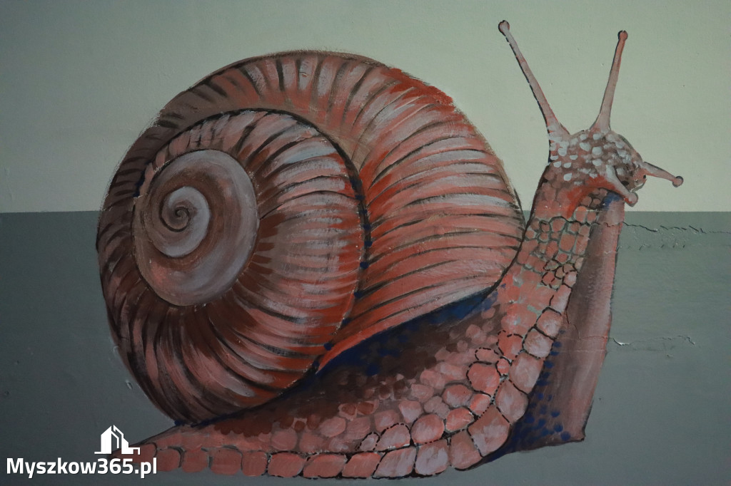 Fotorelacja: ZAKĄTEK NATURY w Szkole Podstawowej w Poraju