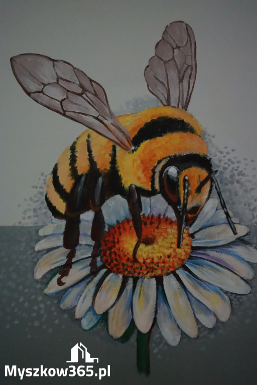 Fotorelacja: ZAKĄTEK NATURY w Szkole Podstawowej w Poraju