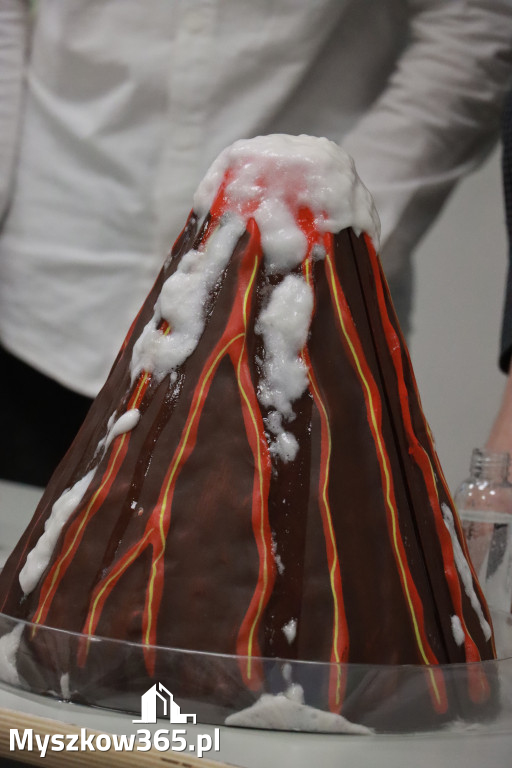 Fotorelacja: ZAKĄTEK NATURY w Szkole Podstawowej w Poraju