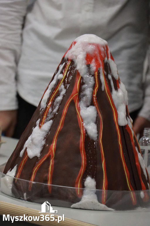 Fotorelacja: ZAKĄTEK NATURY w Szkole Podstawowej w Poraju