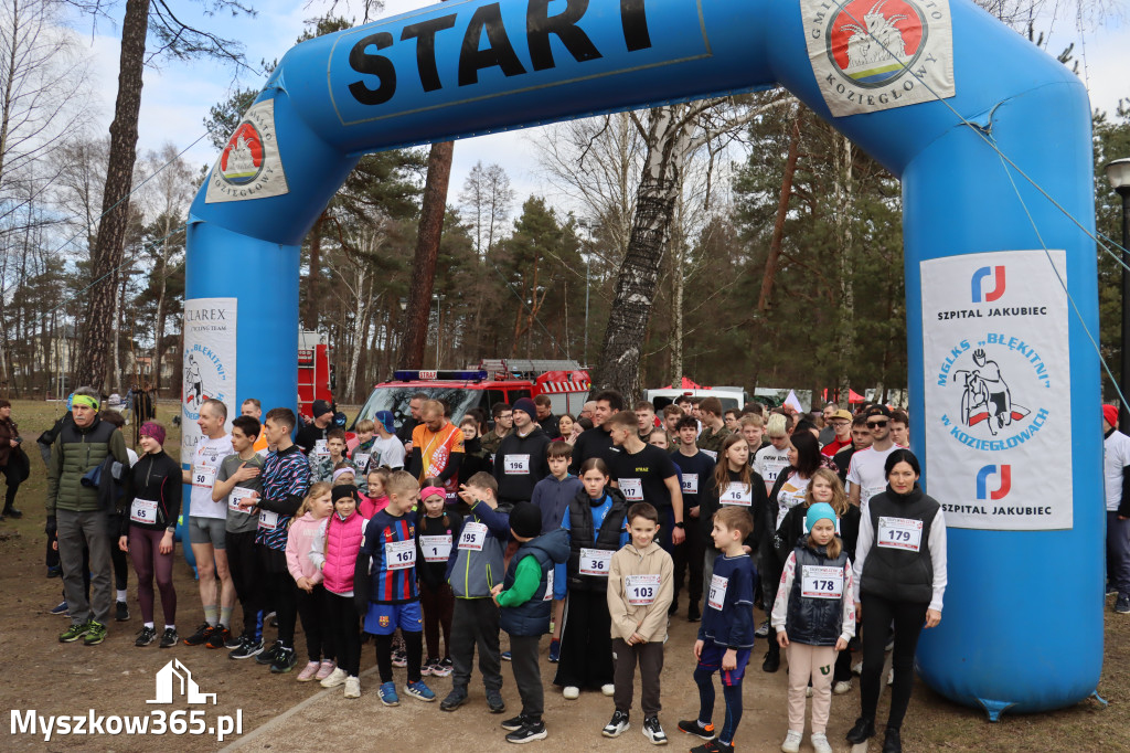 Fotorelacja: Tropem Wilczym w Myszkowie - Bieg pamięci Żołnierzy Wyklętych
