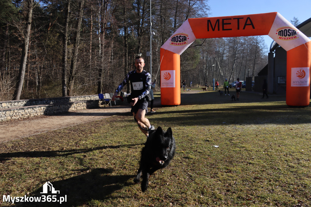 Fotorelacja I: Jurajski Dogtrekking w Myszkowie